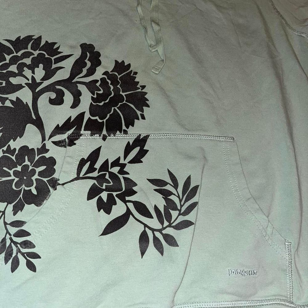 sweet patagonia hoodie - Picture 2 of 7